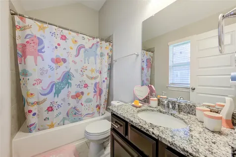 24807 Pleasant Shores Court Richmond TX 77406