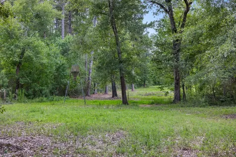4942 Old Wagon Lane Richards TX 77873