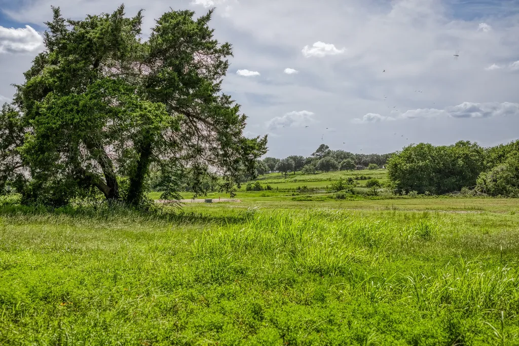 1518 Bluebonnet Ridge Drive Chappell Hill TX 77426
