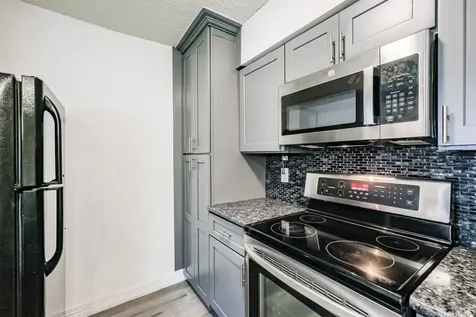 3100 Jeanetta Street 1305 Houston TX 77063