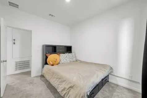 17902 Cranberry Scoop Hockley TX 77447