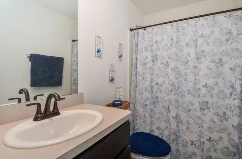 14430 Andover Birch Drive Rosharon TX 77583