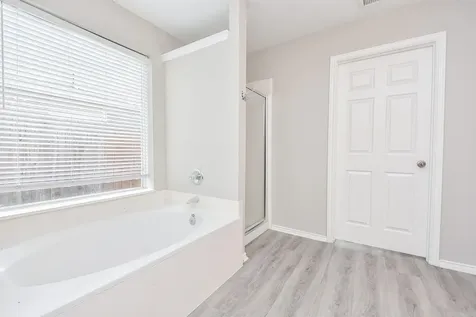 3935 Carters Lake Drive Richmond TX 77406