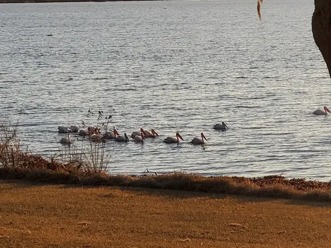 1013 Quail Lane Eagle Lake TX 77434