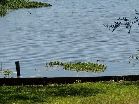 1013 Quail Lane Eagle Lake TX 77434