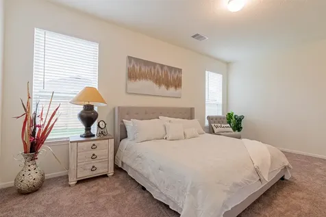 2114 Damasi Lane Fresno TX 77545