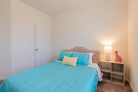 2114 Damasi Lane Fresno TX 77545