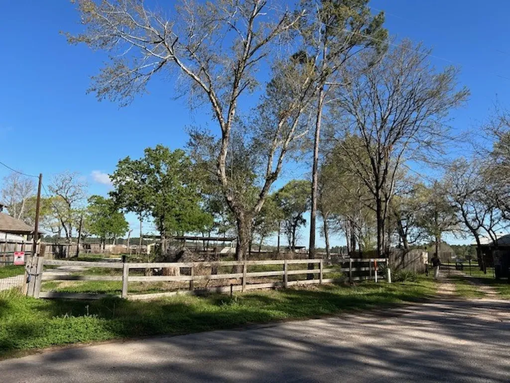 24636 Canterbury Circle Hockley TX 77447