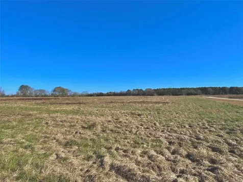 1475 Southfield Trail Lovelady TX 75851
