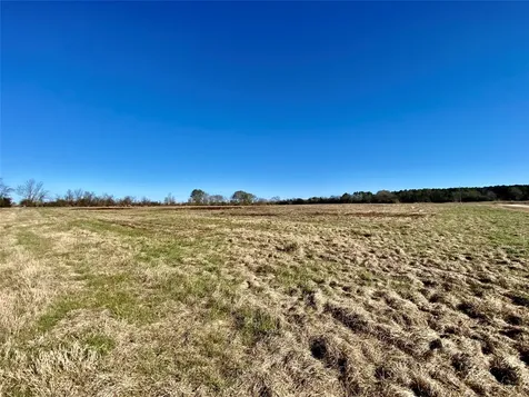 1475 Southfield Trail Lovelady TX 75851