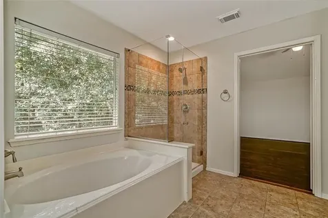 18 Beckett Hill Place The Woodlands TX 77382