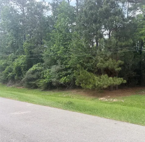 L34 Grant Drive Magnolia TX 77354