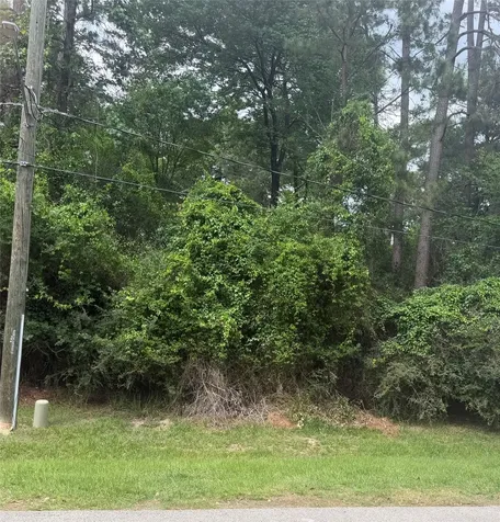 L34 Grant Drive Magnolia TX 77354