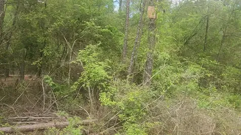 Lot 5 Pin Oak Drive Plantersville TX 77363