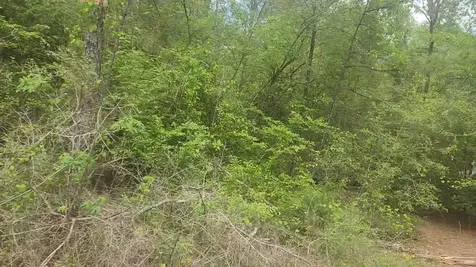 Lot 5 Pin Oak Drive Plantersville TX 77363