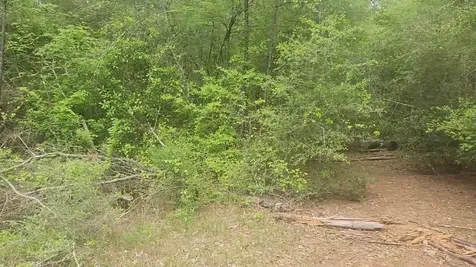 Lot 5 Pin Oak Drive Plantersville TX 77363