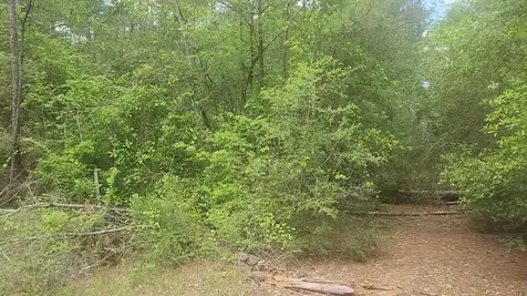 Lot 5 Pin Oak Drive Plantersville TX 77363