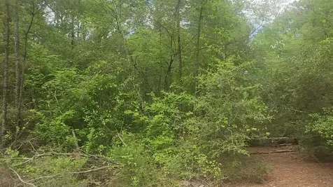 Lot 5 Pin Oak Drive Plantersville TX 77363