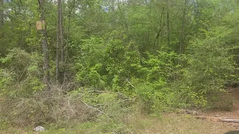 Lot 5 Pin Oak Drive Plantersville TX 77363