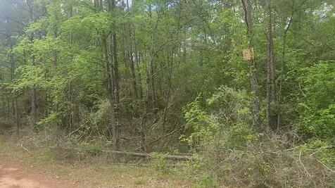 Lot 5 Pin Oak Drive Plantersville TX 77363