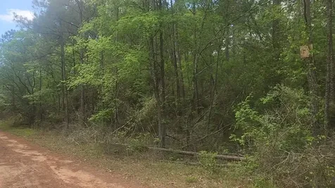 Lot 5 Pin Oak Drive Plantersville TX 77363