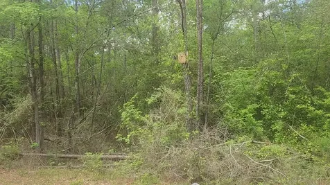 Lot 5 Pin Oak Drive Plantersville TX 77363