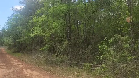 Lot 5 Pin Oak Drive Plantersville TX 77363