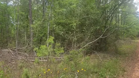Lot 5 Pin Oak Drive Plantersville TX 77363