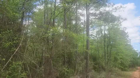 Lot 5 Pin Oak Drive Plantersville TX 77363