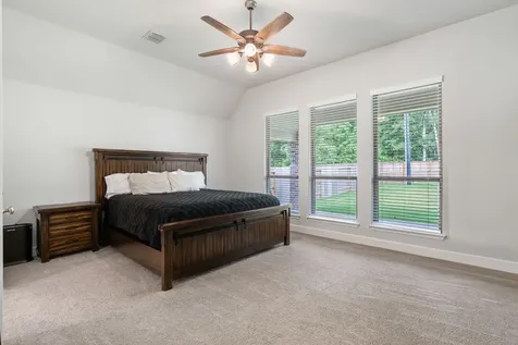 228 W Netleaf Court Montgomery TX 77316