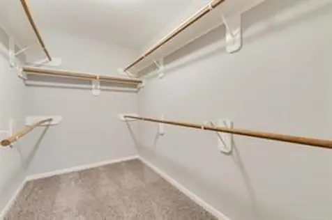 3210 Candlepine Drive Spring TX 77388
