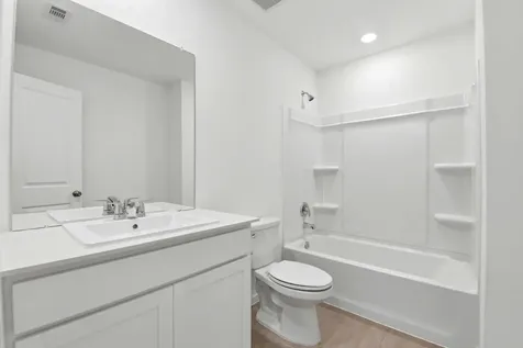 6419 Begonia Trellis Drive Katy TX 77493