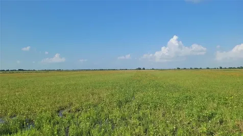 Lot 4 1293 Mc Donald Road Eagle Lake TX 77434