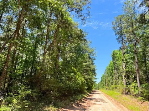 00000000 Morris Lane Livingston TX 77351