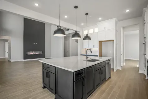 1207 Old Forest Drive Missouri City TX 77459