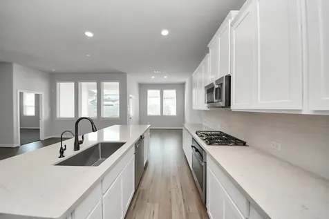 2968 Golden Dust Drive Katy TX 77493