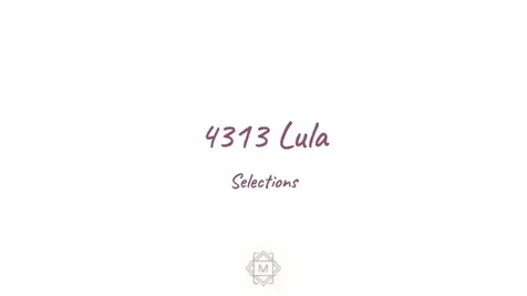 4313 Lula Street Bellaire TX 77401