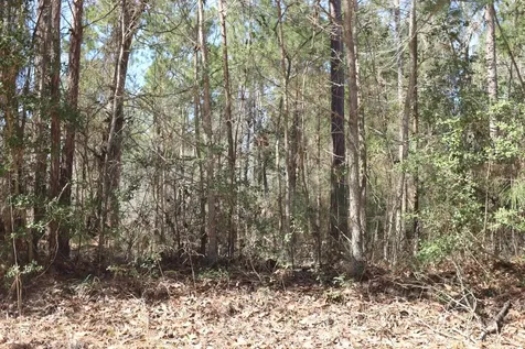 12-1 N Hanson Road Onalaska TX 77360
