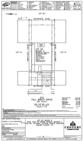 316 Tall Birch Drive Hockley TX 77447