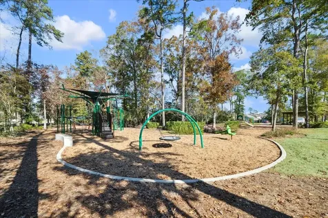 164 Gray Pine Grove Way Willis TX 77318