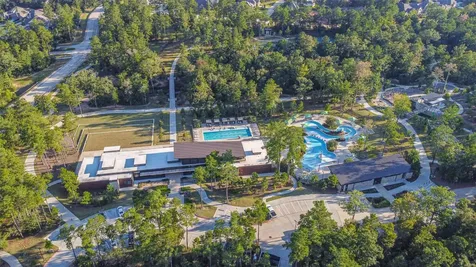 164 Gray Pine Grove Way Willis TX 77318