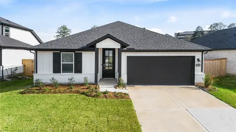 19645 Montgomery Ridge Way Montgomery TX 77316
