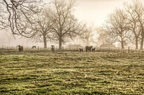 0000 Steck Bottom Road Sealy TX 77474