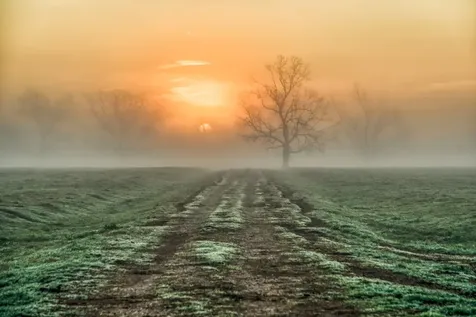 0000 Steck Bottom Road Sealy TX 77474