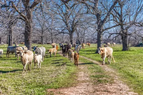 0000 Steck Bottom Road Sealy TX 77474