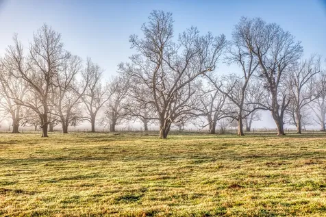 0000 Steck Bottom Road Sealy TX 77474