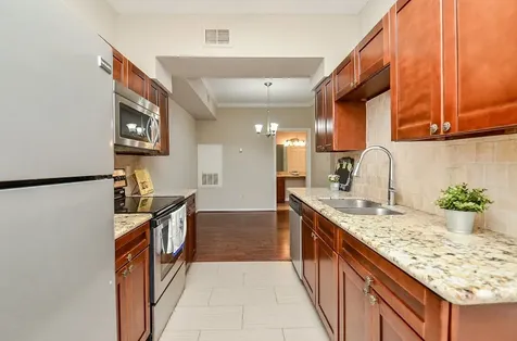 2255 Braeswood Park Drive 168 Houston TX 77030