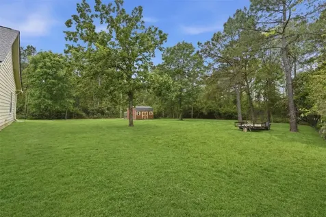 15420 Queen Elizabeth Court Montgomery TX 77316