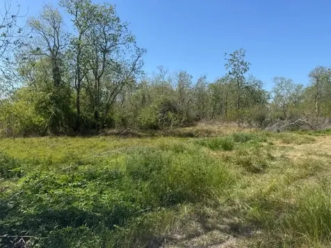 12217 Fm 1462 Alvin TX 77511