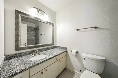 171 Litchfield Lane Houston TX 77024